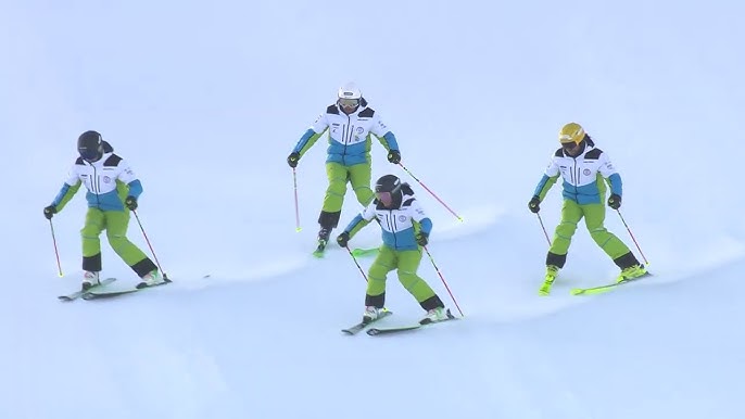 DEMO Team Slovenia Demonstration